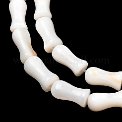 Naturali di acqua dolce perline shell fili&nbsp;SHEL-K006-08