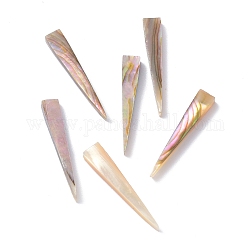 Coquillage d'ormeau naturel/perle de coquillage paua, triangle, 25x4x2.5mm