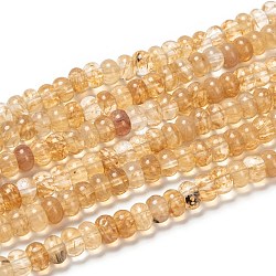 Coffee Watermelon Stone Glass Beads Strands, Rondelle, Pale Goldenrod, 8x5mm, Hole: 0.8mm, about 74pcs/strand, 15 inch