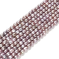 Fili di perle di perle d'acqua dolce coltivate naturali, riso, grado 3 un, marrone rosato, 4.5~5.5x3~3.5mm, Foro: 0.5 mm, circa 70~71pcs/filo, 13.78'' (35 cm)