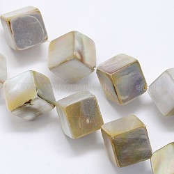 Natural Yellow Shell Cube Beads Strands, Dark Khaki, 19x17x13mm, Hole: 1mm, about 20pcs/strand, 14.7inch