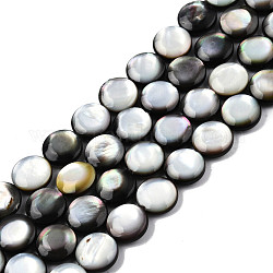 Naturel noir à lèvres shell perles brins, plat rond, 10x4mm, Trou: 1mm, Environ 40 pcs/chapelet, 16.06 pouce (40.8 cm)