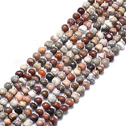 Gemtone naturelles brins de perles, plat rond, 5.5~6x3~6mm, Trou: 1mm, Environ 62 pcs/chapelet, 15.55 pouce (39.5 cm)