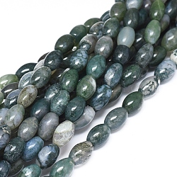 Chapelets de perles en agate mousse naturelle, teints et chauffée, riz, 11.5~12x7.5~8mm, Trou: 0.7mm, environ 33 pcs / brin, 15.55 pouce (39.5 cm)