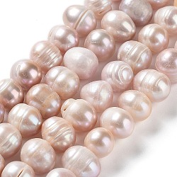 Hebras de perlas de agua dulce cultivadas naturales, patata, grado ab, marrón rosado, 8.5~12x9~10mm, agujero: 0.6 mm, aproximamente 37 pcs / cadena, 13.78'' (35 cm)