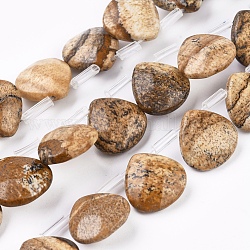 Chapelets de perles en jaspe avec images naturelles, perles percées, facette, larme, 13x13x5mm, Trou: 0.6mm, Environ 30 pcs/chapelet, 13.98 pouce (35.5 cm)