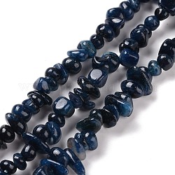 Brins de perles d'apatite naturelle teintes et chauffées, pépites, 5~10x5~5.5x3.5~5mm, Trou: 1mm, Environ 103~117 pcs/chapelet, 15.55~16.14 pouce (39.5~41 cm)
