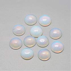 Opalite Cabochons, Half Round/Dome, 16x6mm