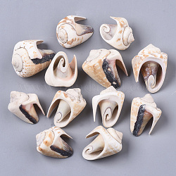 Spirale Shell naturale perline, perline non forate / Senza Buco, bianco floreale, 30~37x21~27x19~29mm