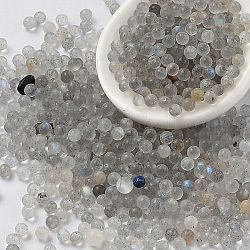 Perles naturelles de labradorite, sans trou, ronde, 2mm