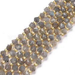Chapelets de perles en labradorite naturelle , avec des perles de rocaille, facette, perles de cube en diagonale, 5~6x5~6x4~5mm, Trou: 1mm, Environ 49~55 pcs/chapelet, 15.35''~15.75'' (39~40 cm)