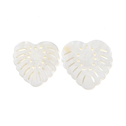 Natural Freshwater Shell Pendants, Monstera Leaf Charm, White, 31x30.5x2mm, Hole: 2mm
