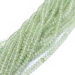 Chapelets de perles en préhnite naturelle, facette, rondelle, 3.5x2.5mm, Trou: 0.7mm, Environ 142 pcs/chapelet, 15.3 pouce (39 cm)