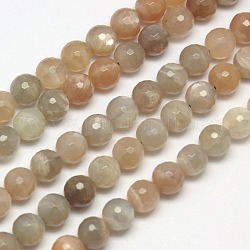 Brins de perles naturelles multi-pierre de lune, facette, ronde, 6mm, Trou: 1mm, Environ 65 pcs/chapelet, 15.7 pouce