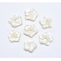 Fleurs naturelles perles de coquillage blanc, perles coquille en nacre, 15~16x3mm, Trou: 0.8mm
