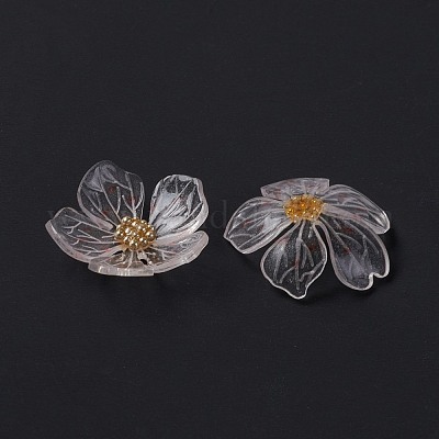 Transparente Harzcabochons&nbsp;RESI-L035-19-1