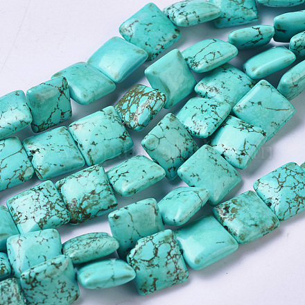 Natural Howlite Beads Strands TURQ-K003-09A-1