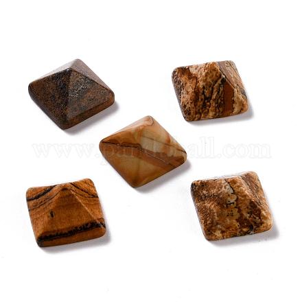 Natural Picture Jasper Cabochons G-G759-Y10-1