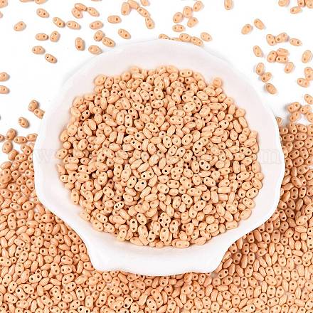 Выпечка краска стеклянные бусины SEED-T006-03E-1