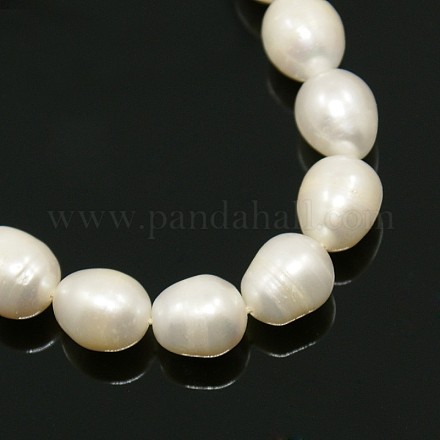 Natural Cultured Freshwater Pearl Beads Strands PEAR-N002-01A-1