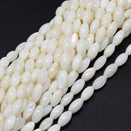 Brins de perles de coquillage naturel teint BSHE-E023-02A-1
