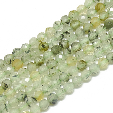 Chapelets de perles en préhnite naturelle G-S300-12-2mm-1