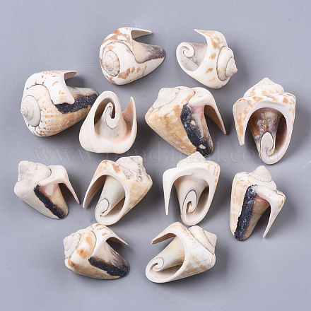 Perles de coquillage en spirale naturelle SSHEL-S258-82-1