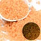 6/0 Luminous Glass Seed Beads, Round Hole, Frosted Inside Colours, Glow in the Dark, Rondelle, Orange, 4.5x3.5mm, Hole: 1.5mm, about 500pcs/50g