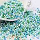 Baking Paint Glass Seed Beads X-SEED-S042-05B-52-1