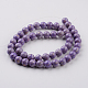 Dyed Natural Fossil Beads Strands G-E328-8mm-22-3