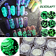 Polvo de lentejuelas luminosas de arte de uñas de olycraft MRMJ-OC0001-72-5