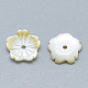 Perles de coquillage jaune SSHEL-S260-079-2