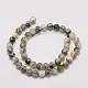Natural Tree Agate Bead Strands G-G882-8mm-E02-2