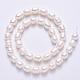 Grade B Natural Cultured Freshwater Pearl Beads Strands SPRB007Y-51-3