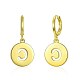 Brass Dangle Hoop Earrings EJEW-BB31946-6