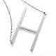 304 Stainless Steel Pendant Necklaces STAS-D162-12H-3