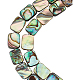 Benecreat 20 pièces rectangle naturel coquille d'ormeau plate perles de pierres précieuses semi-précieuses (10x8x3.5 mm) trou: 1 mm pour la fabrication de bijoux SSHEL-BC0001-10-1