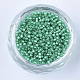 Pearlized Cylinder Seed Beads SEED-Q036-02A-E01-2