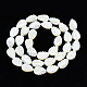 Chapelets de perles de coquille de trochid / trochus coquille SSHEL-N034-135B-01-2