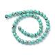 Assembled Synthetic Turquoise and Shell Beads Strands G-S212-4mm-04-2