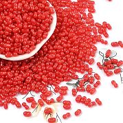 Выпечка краска стеклянные бусины SEED-L011-09A-14