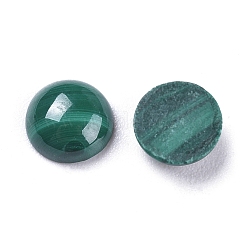 Natur Malachit Cabochons&nbsp;G-R476-01-6mm