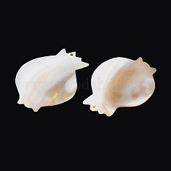 Natürlichen Süßwasser-Shell-große Anhänger&nbsp;SHEL-N038-17