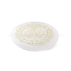 Dessous de verre plats et ronds en tranches de sélénite naturelle&nbsp;DJEW-C015-02G