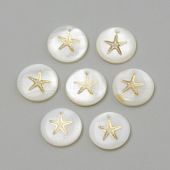 Pendentifs en coquillage d'eau douce&nbsp;SHEL-Q010-G