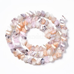 Chapelets de perles en verre électroplaqué&nbsp;EGLA-N002-06J