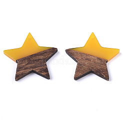Colgantes de resina y madera de nogal&nbsp;X-RESI-T023-23