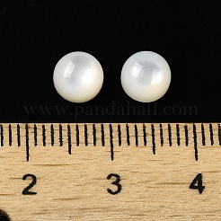 Cabochons de coquillage blanc naturel&nbsp;SSHEL-M022-01A