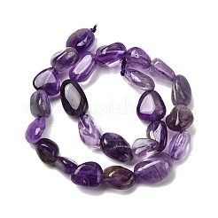 Natürlichen Amethyst Perlen Stränge&nbsp;G-P601-A04-02
