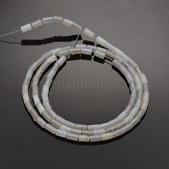 Spalte natürlichen grauen Achat Perlen Stränge&nbsp;G-N0153-52